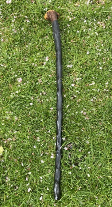 Blackthorn Stick #11 | Irish Walking Sticks