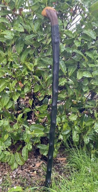 Blackthorn Stick #11 | Irish Walking Sticks
