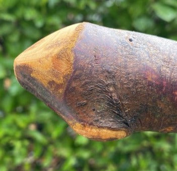 Blackthorn Stick #13 | Irish Walking Sticks