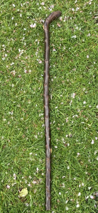 Blackthorn Stick #13 | Irish Walking Sticks