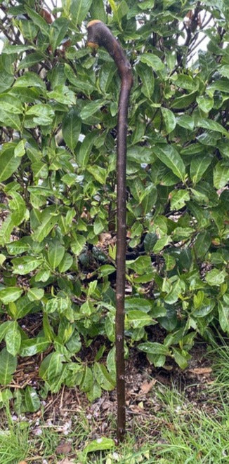 Blackthorn Stick #14 | Irish Walking Sticks