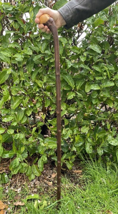 Blackthorn Stick #15 | Irish Walking Sticks