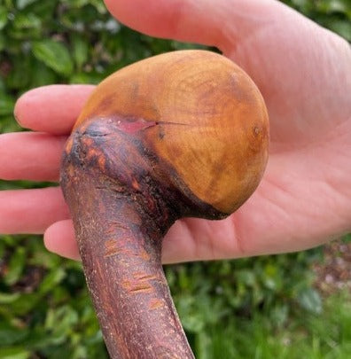 Blackthorn Stick #15 | Irish Walking Sticks