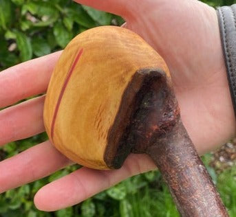 Blackthorn Stick #15 | Irish Walking Sticks