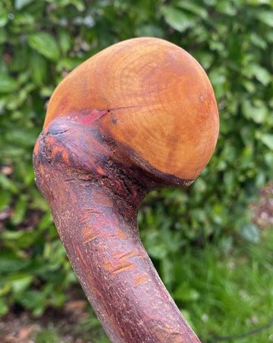 Blackthorn Stick #15 | Irish Walking Sticks