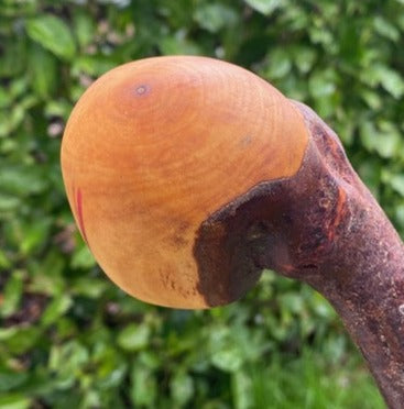 Blackthorn Stick #15 | Irish Walking Sticks
