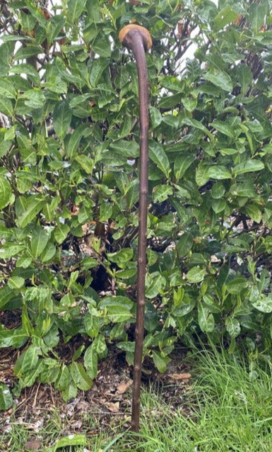 Blackthorn Stick #15 | Irish Walking Sticks
