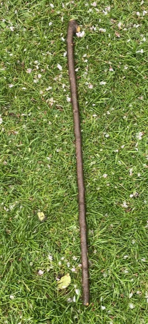 Blackthorn Stick #16 | Irish Walking Sticks