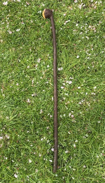 Blackthorn Walking Stick