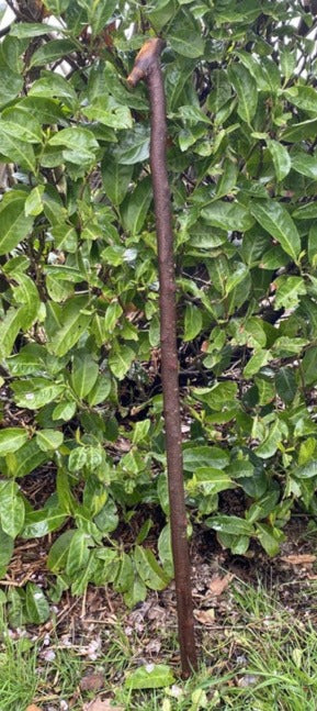 Blackthorn Stick #18 | Irish Walking Sticks
