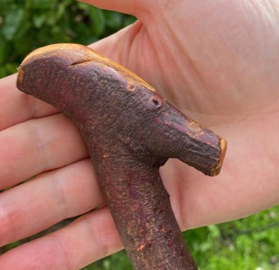 Blackthorn Stick #18 | Irish Walking Sticks