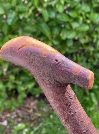 Blackthorn Stick #18 | Irish Walking Sticks