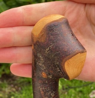 Blackthorn Stick #19 | Irish Walking Sticks