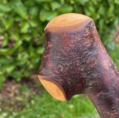 Blackthorn Stick #19 | Irish Walking Sticks