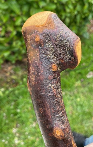 Blackthorn Stick #19 | Irish Walking Sticks