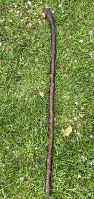 Blackthorn Stick #19 | Irish Walking Sticks