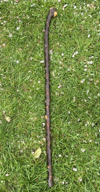 Blackthorn Stick #19 | Irish Walking Sticks