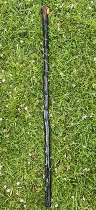 Medium Blackthorn #1 | Irish Walking Sticks