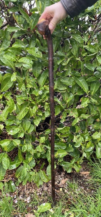 Twist Blackthorn Stick | Irish Walking Sticks