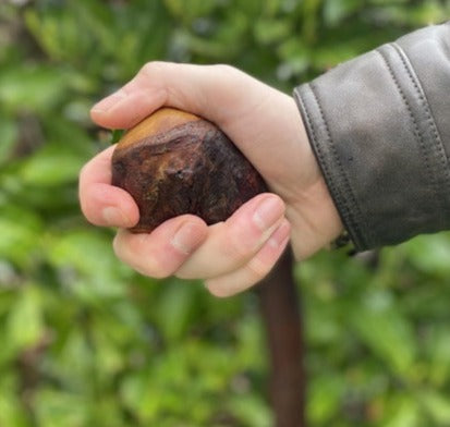 Twist Blackthorn Stick | Irish Walking Sticks