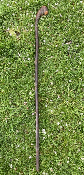 Twist Blackthorn Stick | Irish Walking Sticks