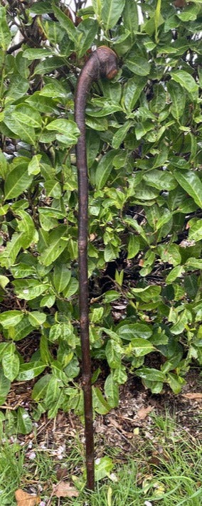 Twist Blackthorn Stick | Irish Walking Sticks