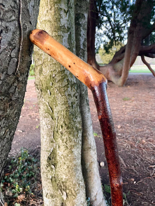 Why Irish Walking Sticks Make the Best Gifts for Men