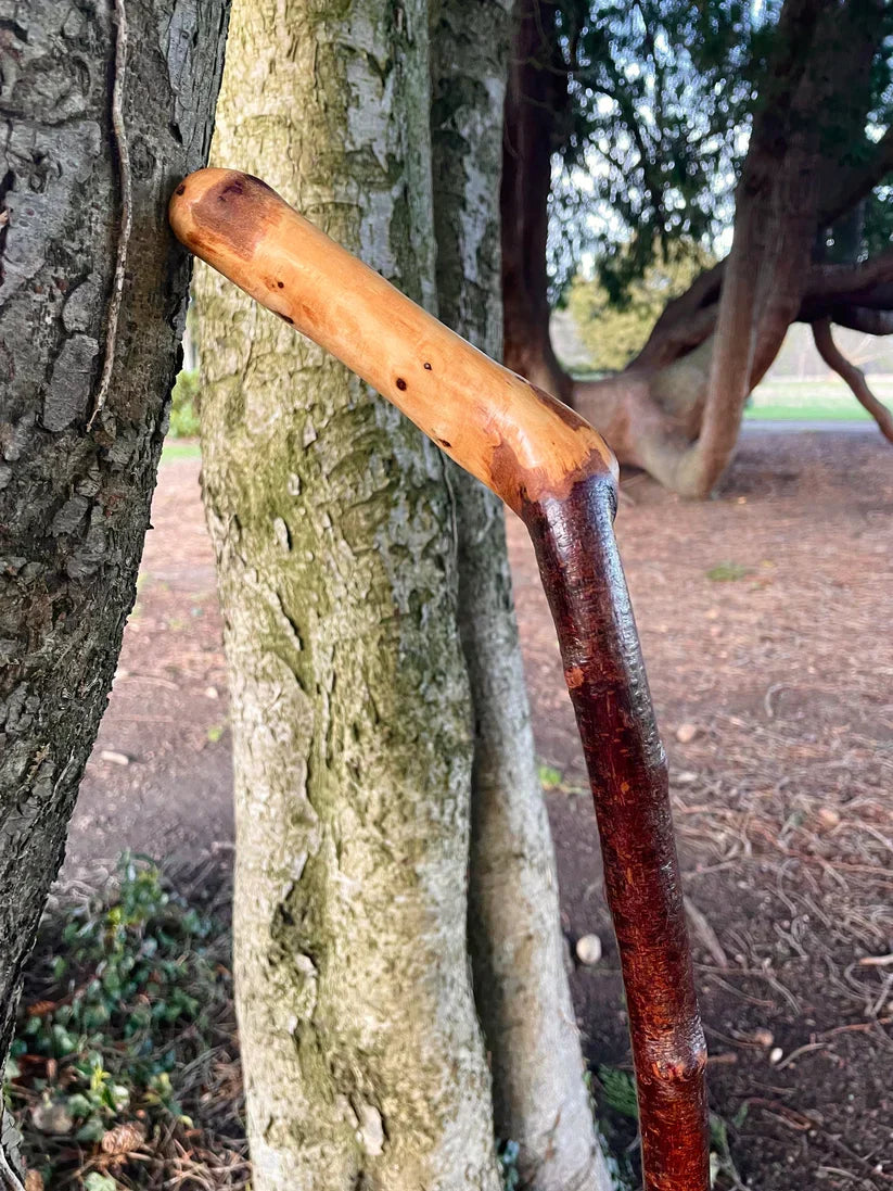 Why Irish Walking Sticks Make the Best Gifts for Men
