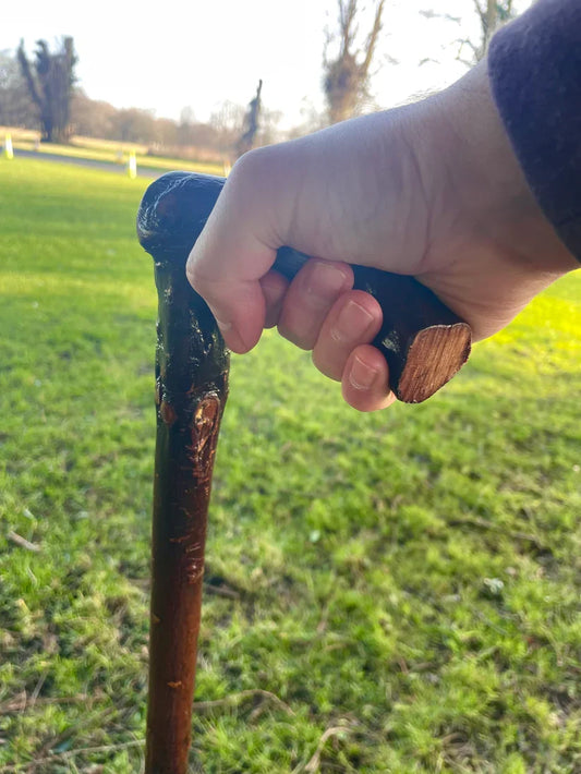 The Fairy Tree and the Stick: Irish Folklore in Your Hand