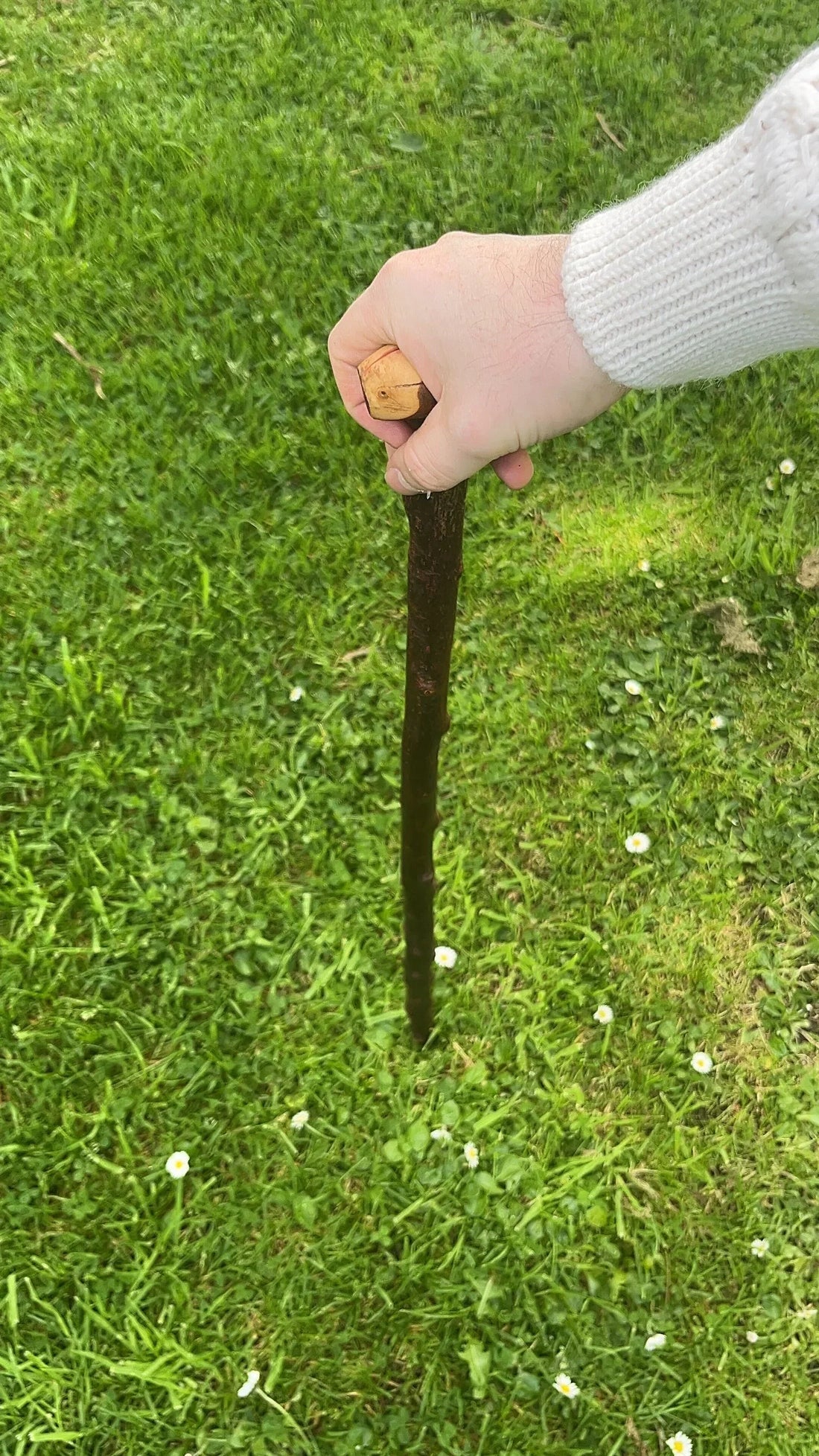 The Art of the Irish Blackthorn Stick: How It’s Really Made in Ireland