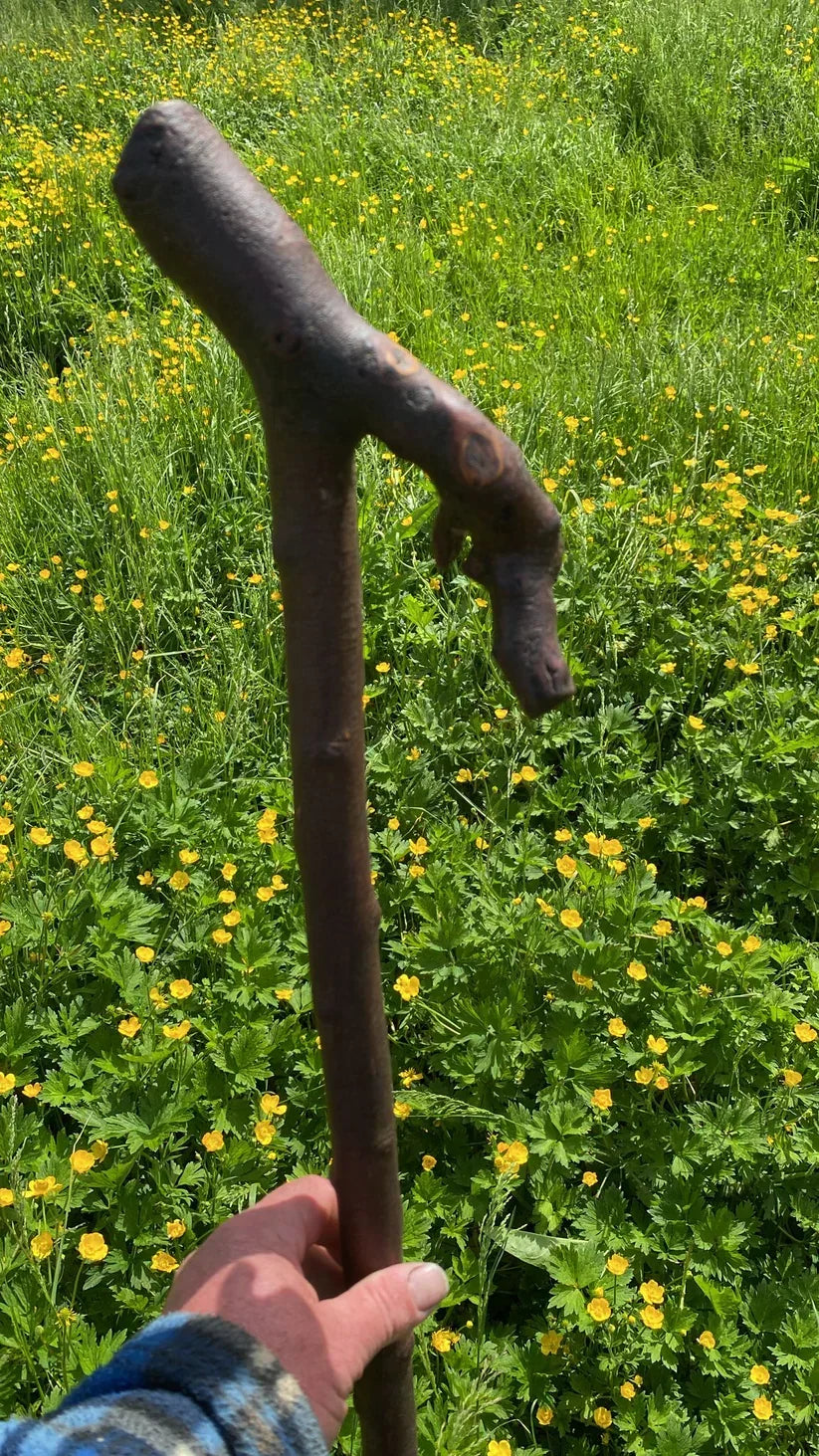 Taking Your Irish Stick on the Trail: Hiking with a Bit of Irish Soul