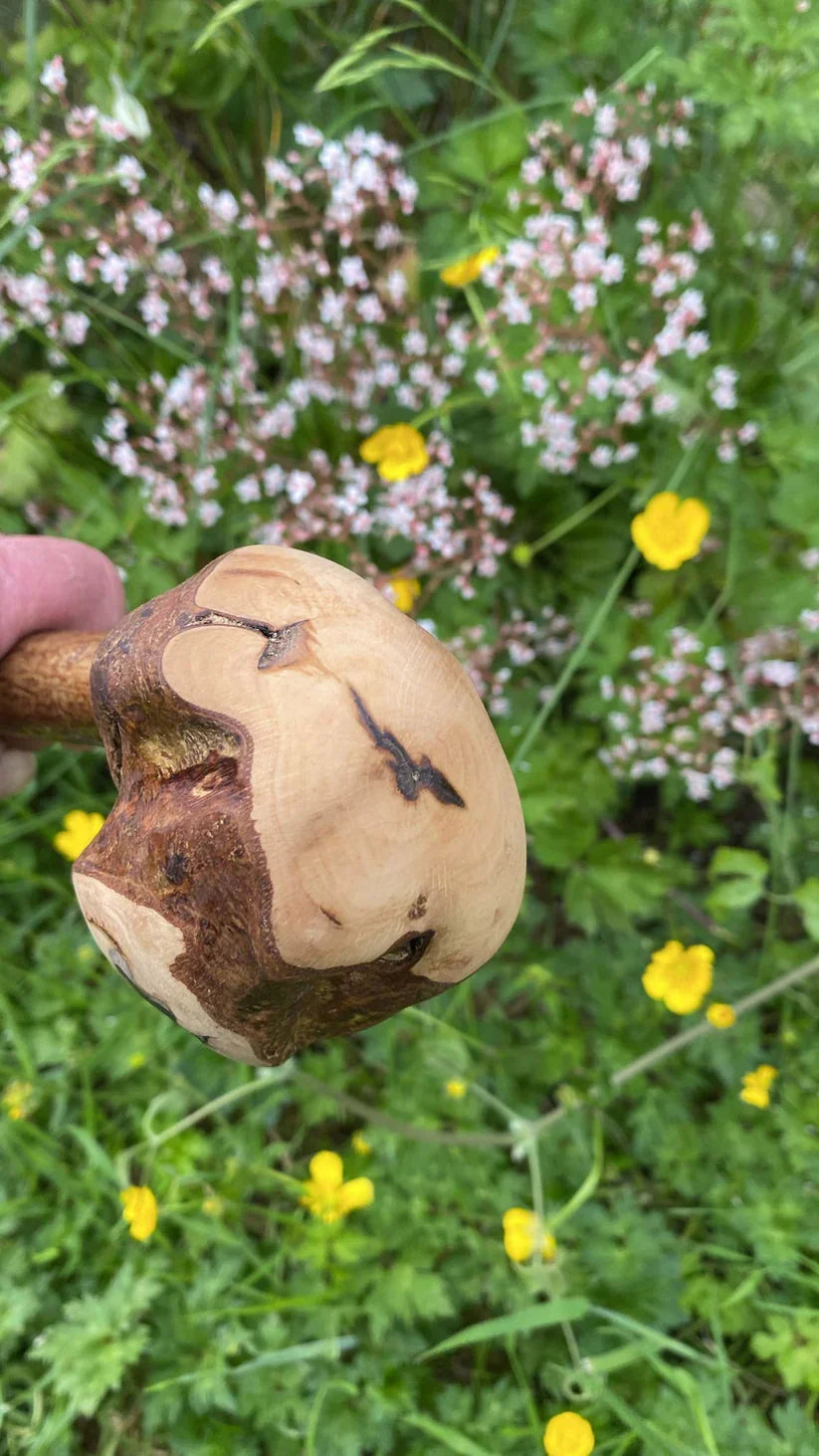 Why Blackthorn Sticks Make the Perfect Irish Gift for Any Occasion