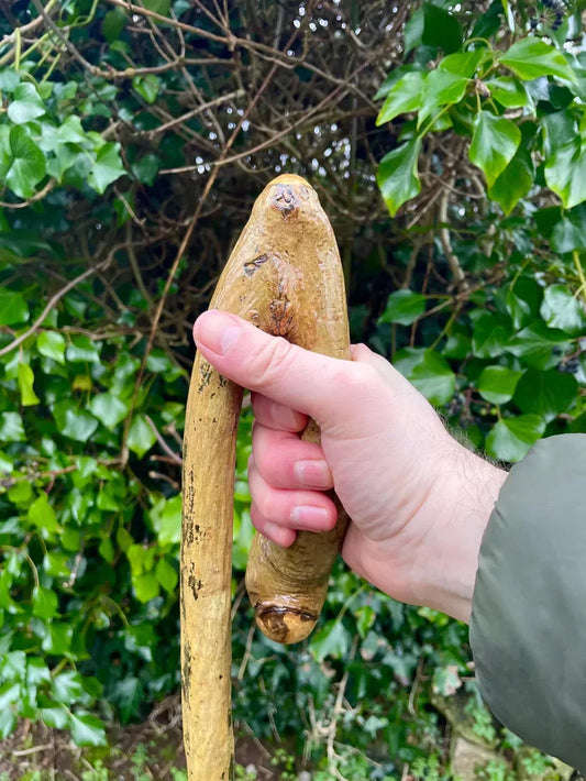 Blackthorn in Irish Folklore: The Magical Wood with a Bite