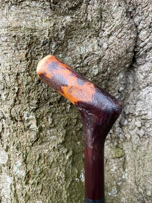 How to Spot a Genuine Irish Blackthorn Stick