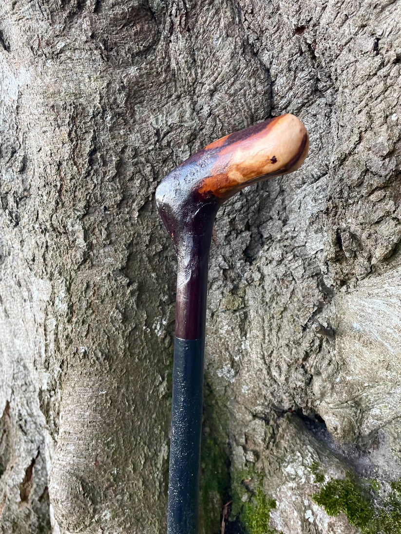 Caring for Your Irish Blackthorn Stick: Tips to Keep It for a Lifetime