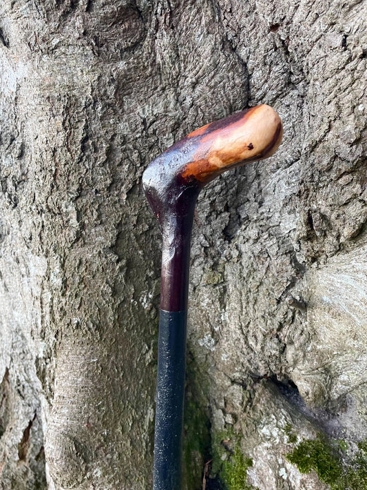 Caring for Your Irish Blackthorn Stick: Tips to Keep It for a Lifetime