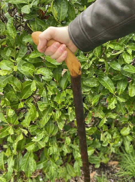 Shillelaghs vs Walking Sticks vs Hiking Staffs: What’s the Difference?