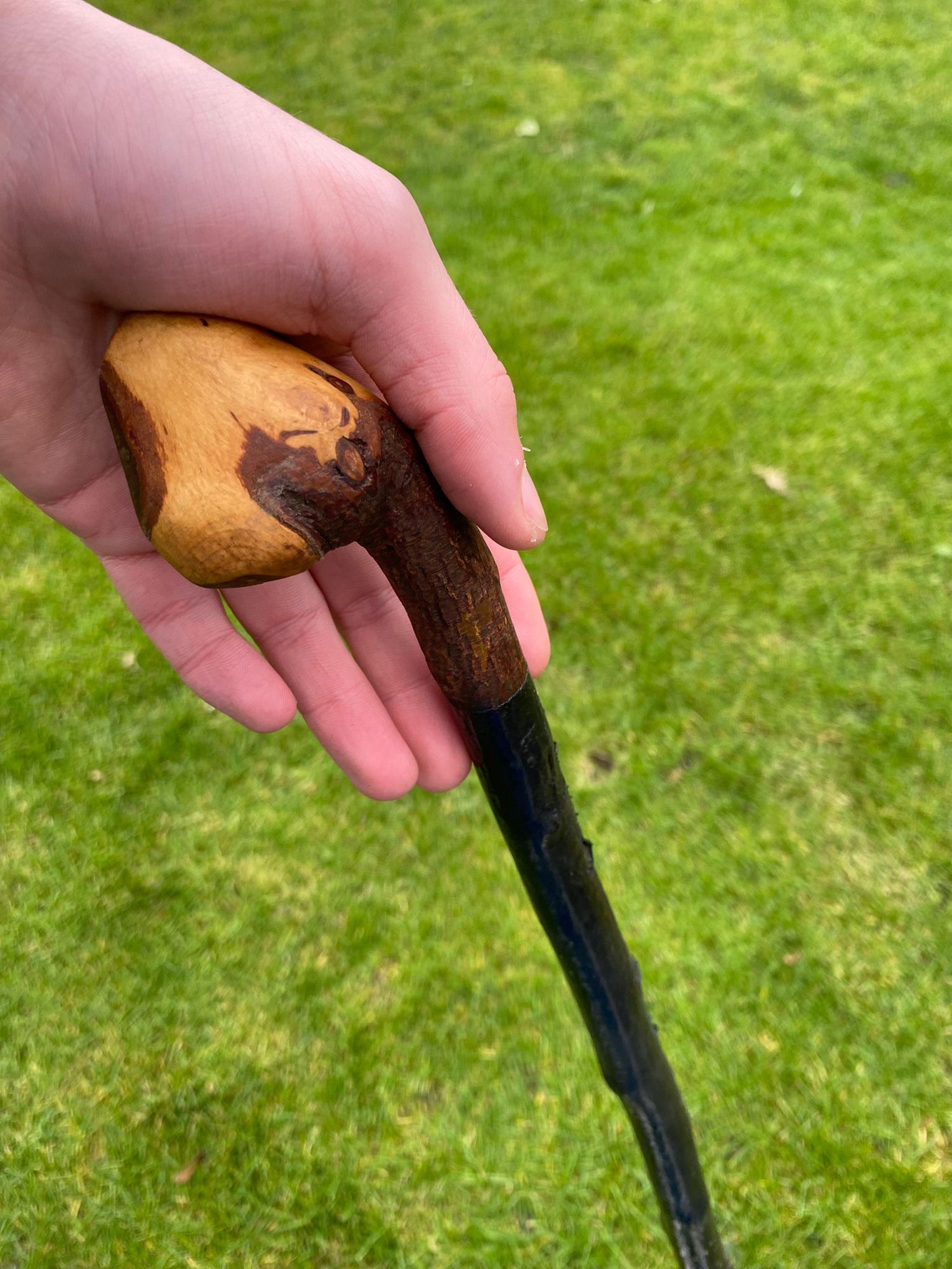 Blackthorn Walking Sticks