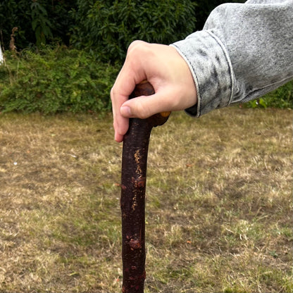 Blackthorn Shillelagh Door Knocker Knob Stick – 88.5 cm (34.8”)