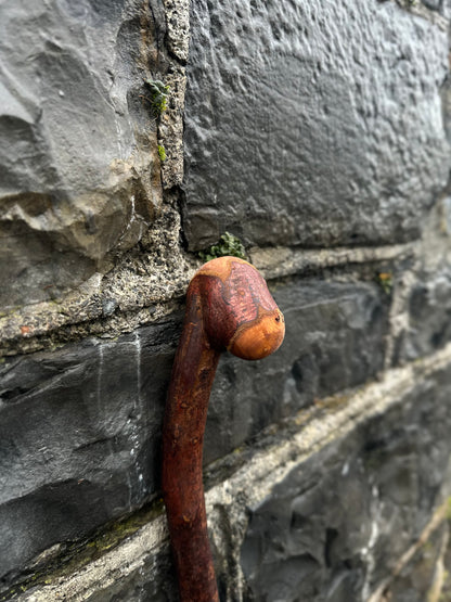 Rustic Blackthorn Hiking Stick with Leaning Head – 105 cm (41.3”)