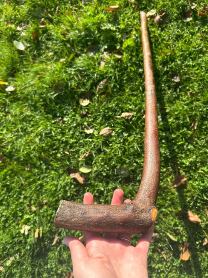 Blackthorn Walking Stick with L Handle - 97 cm / 38.2 inches