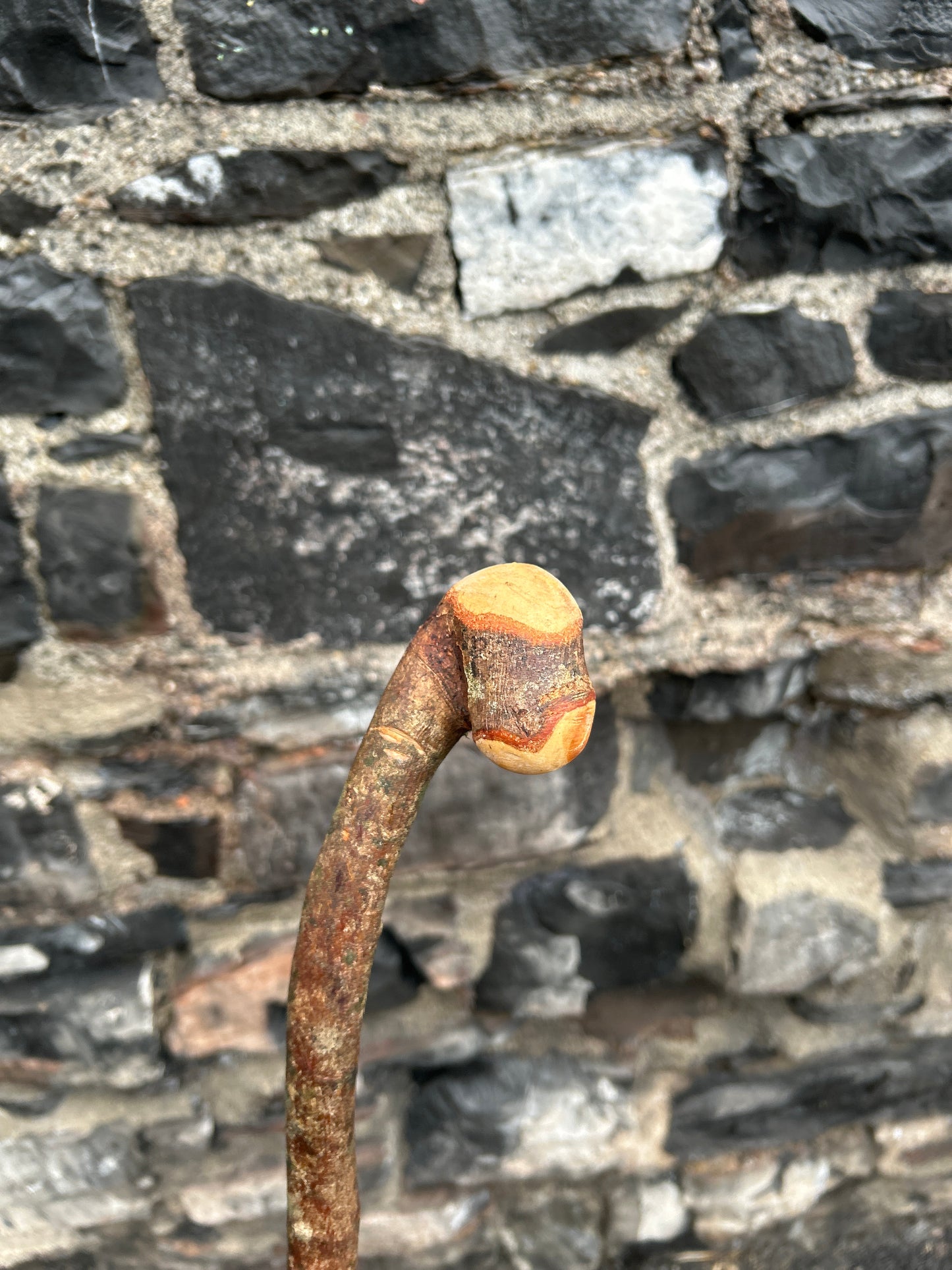 Raspy-Textured Hazel Walking Stick with Knob Head – 99 cm (39”)