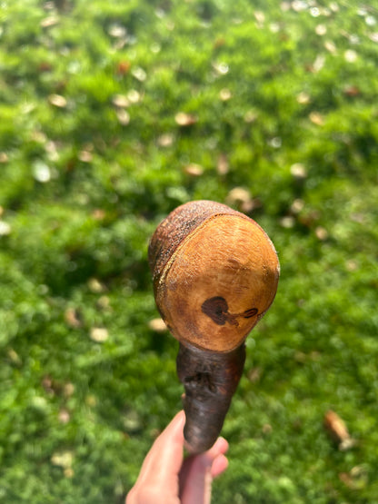 Blackthorn Walking Stick with Round Handle - 95 cm / 37.4 inches