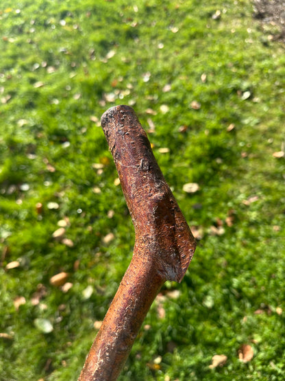 Blackthorn Walking Stick with L Handle - 97 cm / 38.2 inches