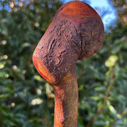Traditional Wooden Knob Irish Walking Stick – 102 cm (40.2”)