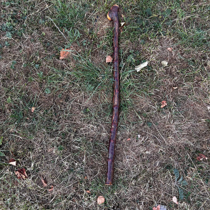 Short Chunky Blackthorn Shillelagh Knob Stick – 73 cm (28.7”)