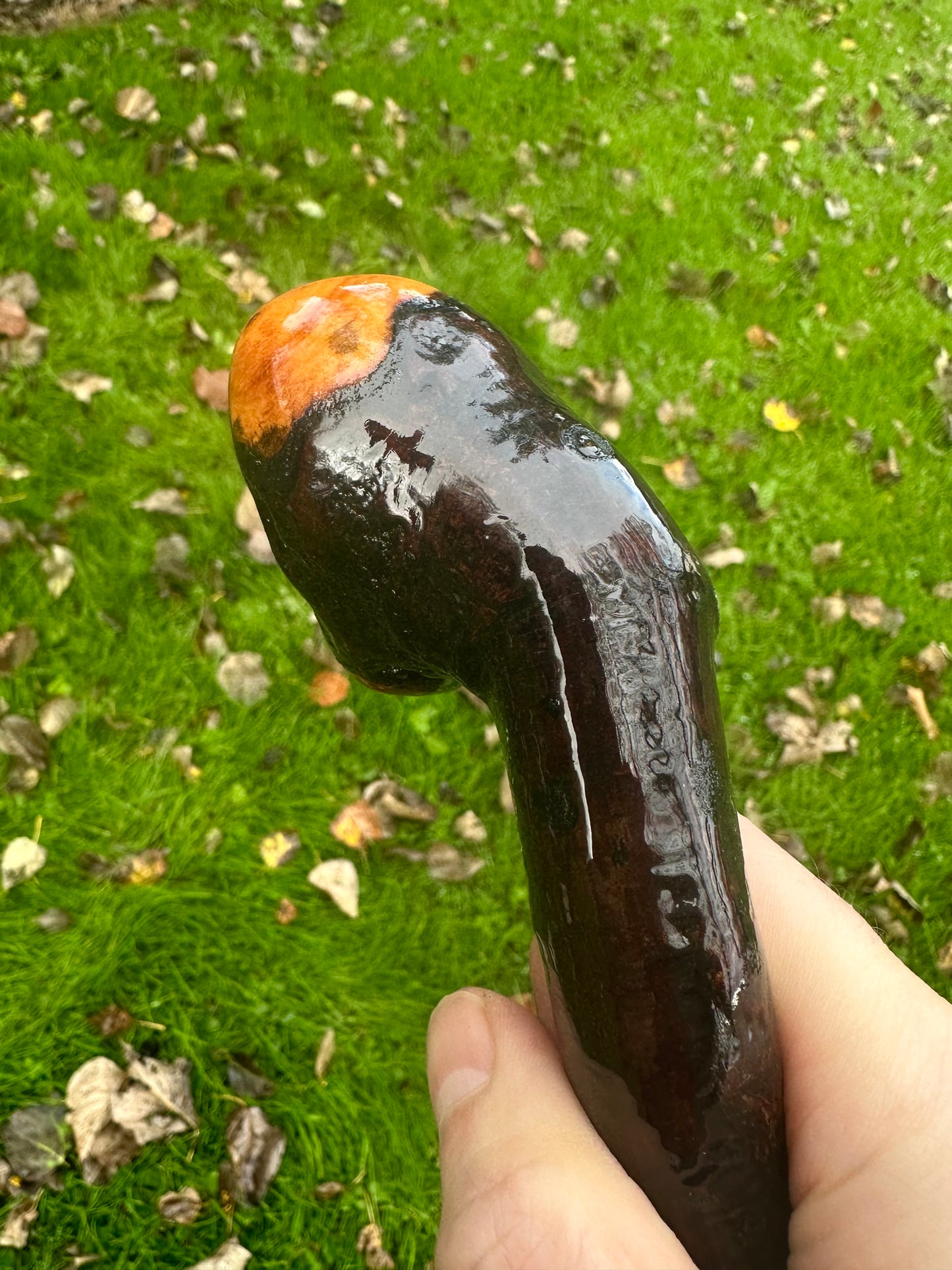 Irish Blackthorn Walking Stick – 37.5”