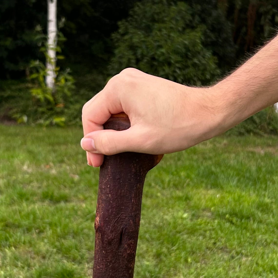 Thick Blackthorn Shillelagh Round Knob Stick – 96 cm (37.8”)