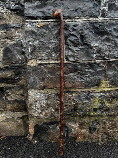 Rugged Blackthorn Walking Stick with Exposed Natural Knob Head – 93 cm (36.6”)
