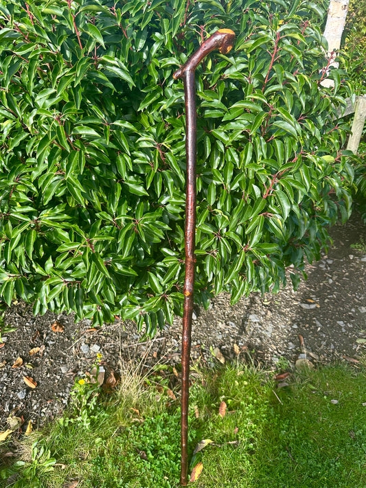 Blackthorn Walking Stick with L Handle and Doorknocker Feature - 120 cm / 47 inches